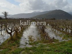 Ζημιές προκλήθηκαν σε καλλιέργειες στον κάμπο της Μηλιάς